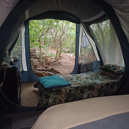 Adorable Unique Guest House - African Bush Feel Kalkheuvel Bagian luar foto